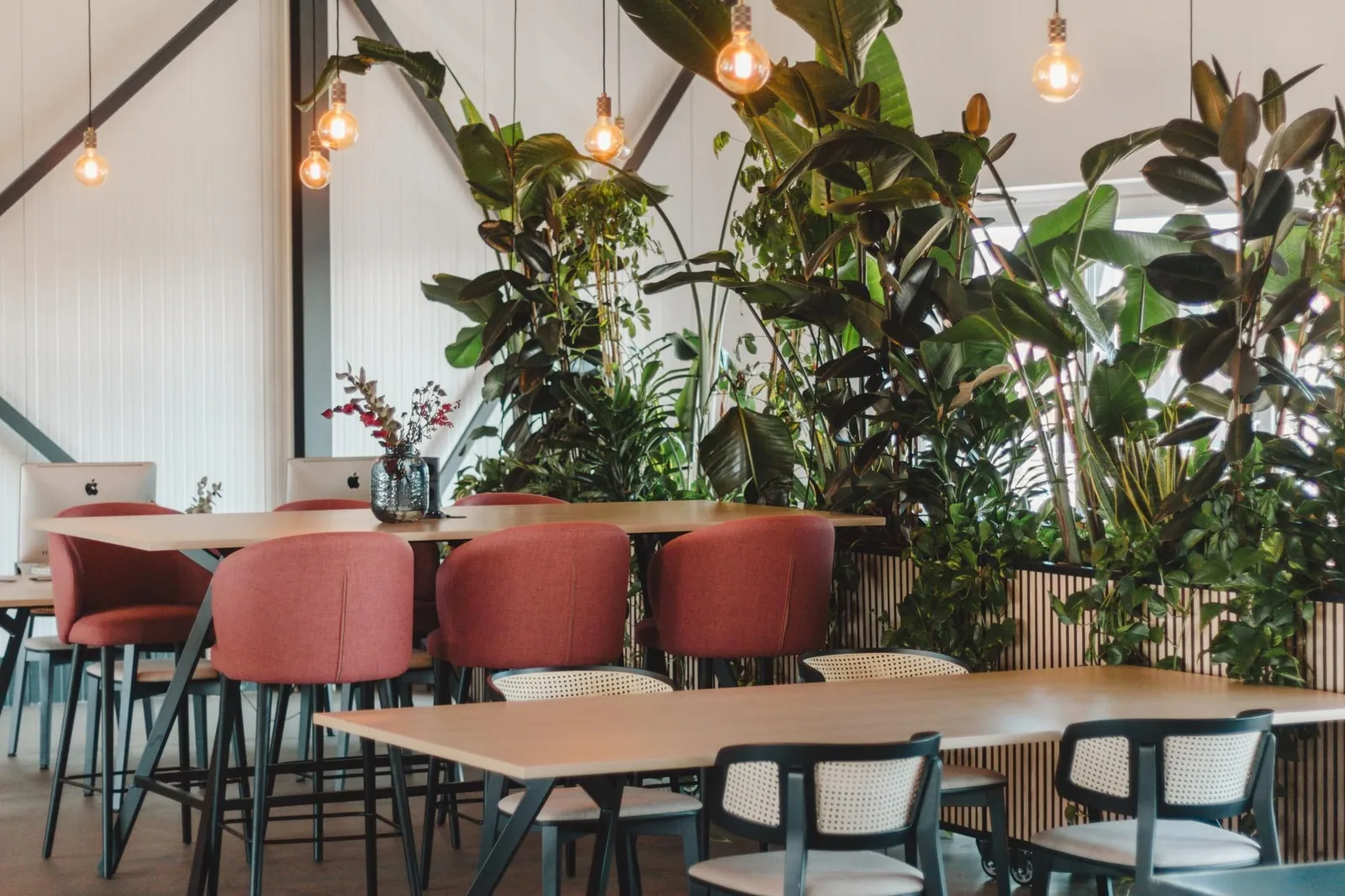Skiffa House, Espace de coworking, La Haye