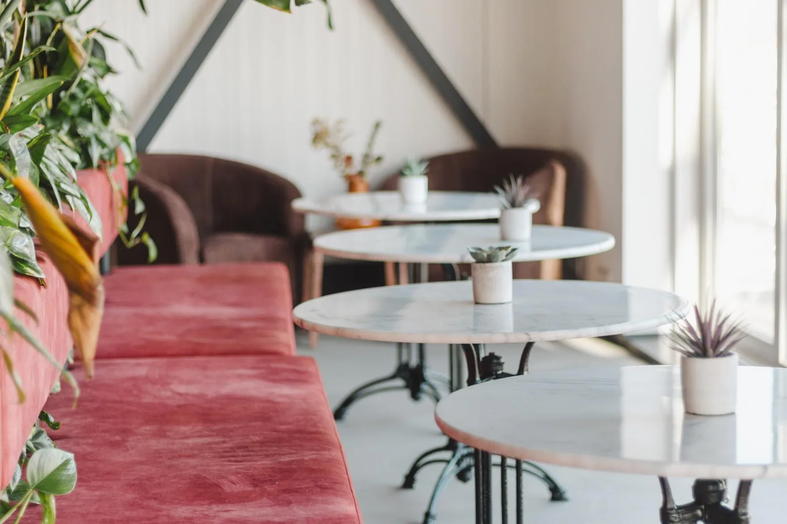 Skiffa House, Cafétéria, La Haye