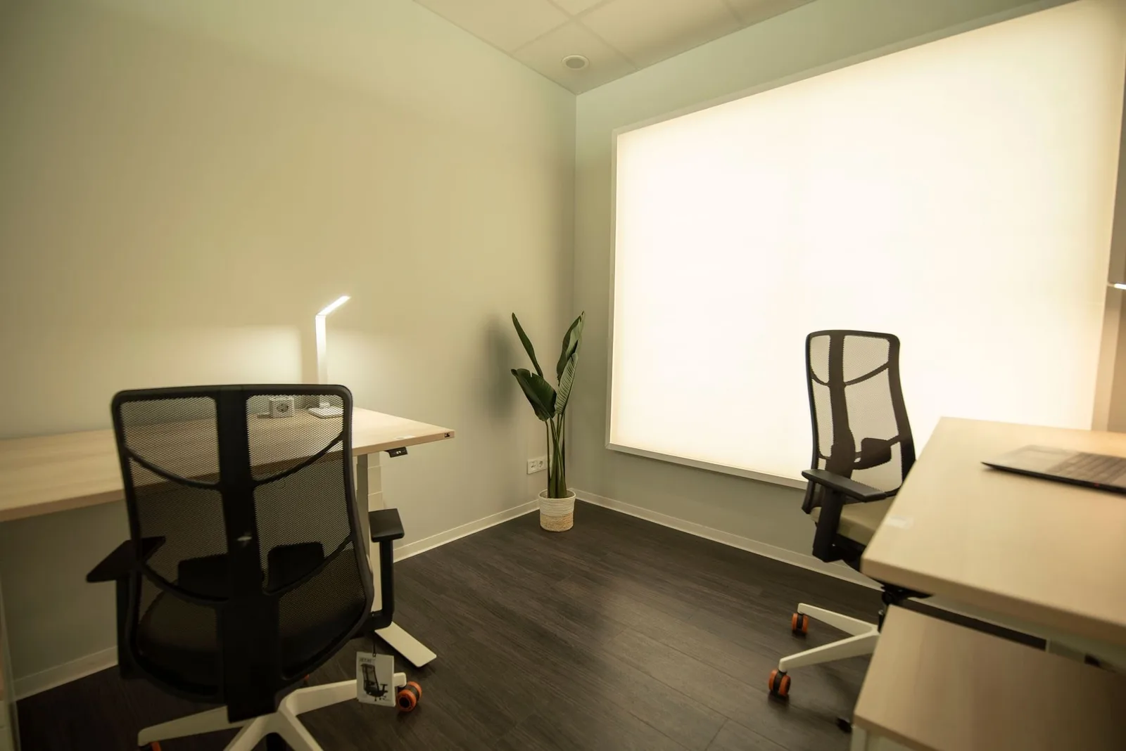 Smart Offices Querfurt, Private office, 2 desks, Querfurt