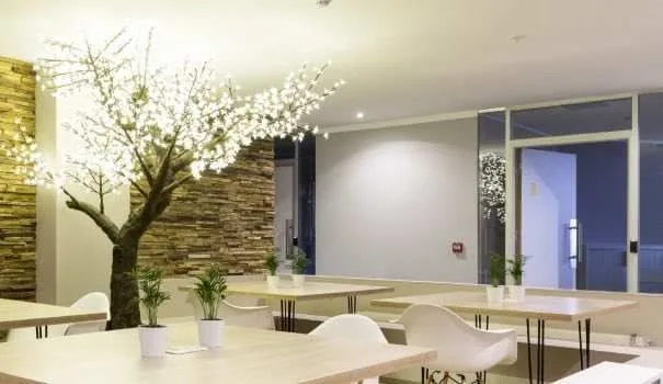 Starter Business Center, Cafétéria, Biot