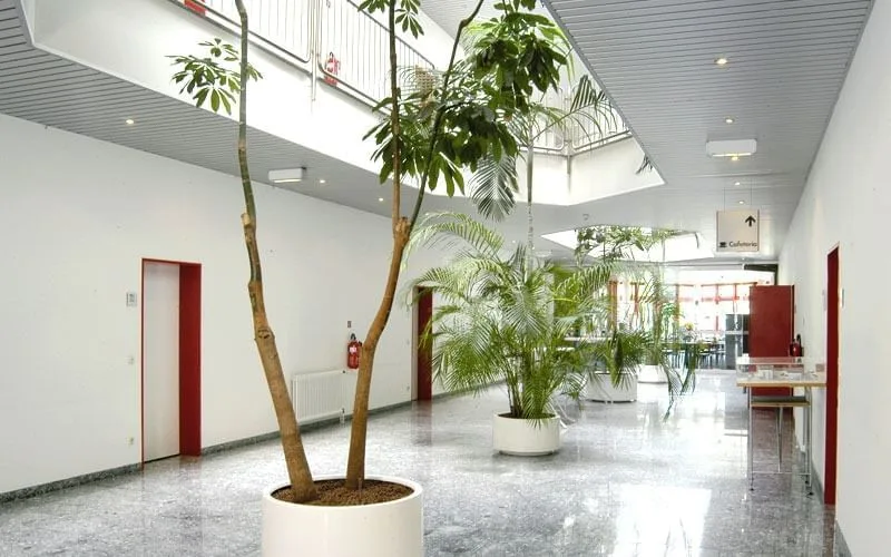 Technology and Entrepreneur Center Niederrhein, Gemeinschaftsbereich, Kempen