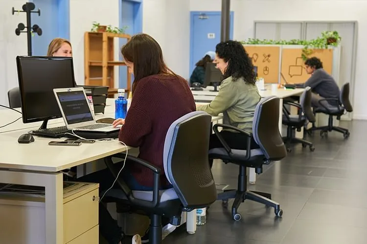 El Viversalt, Open-plan office, Salt