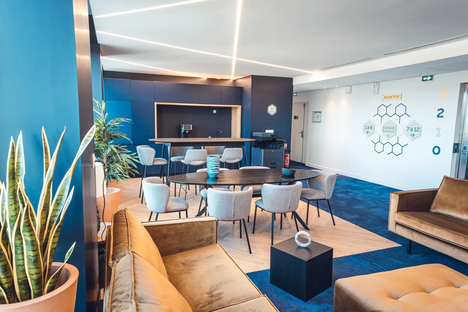 Wellbee Space, Cafeteria, Plaisance-du-Touch