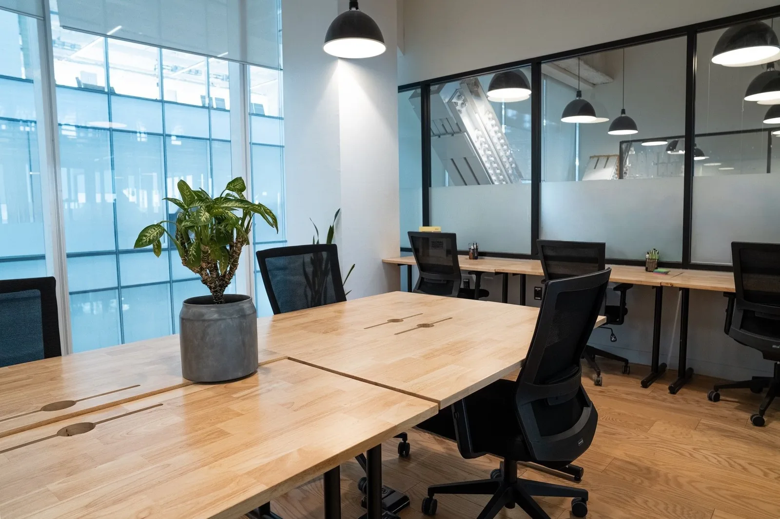 WeWork Distrito Armida, Private office, 6 desks, Monterrey