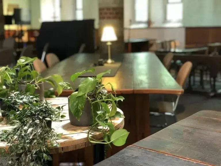 The Host Space