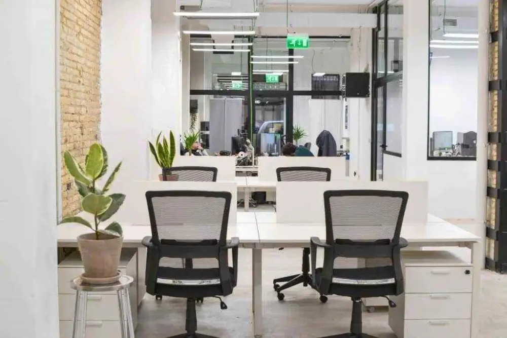 Botánico Coworking Valencia