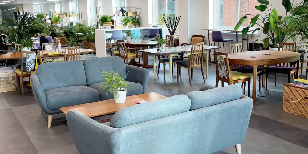The Curious Lounge