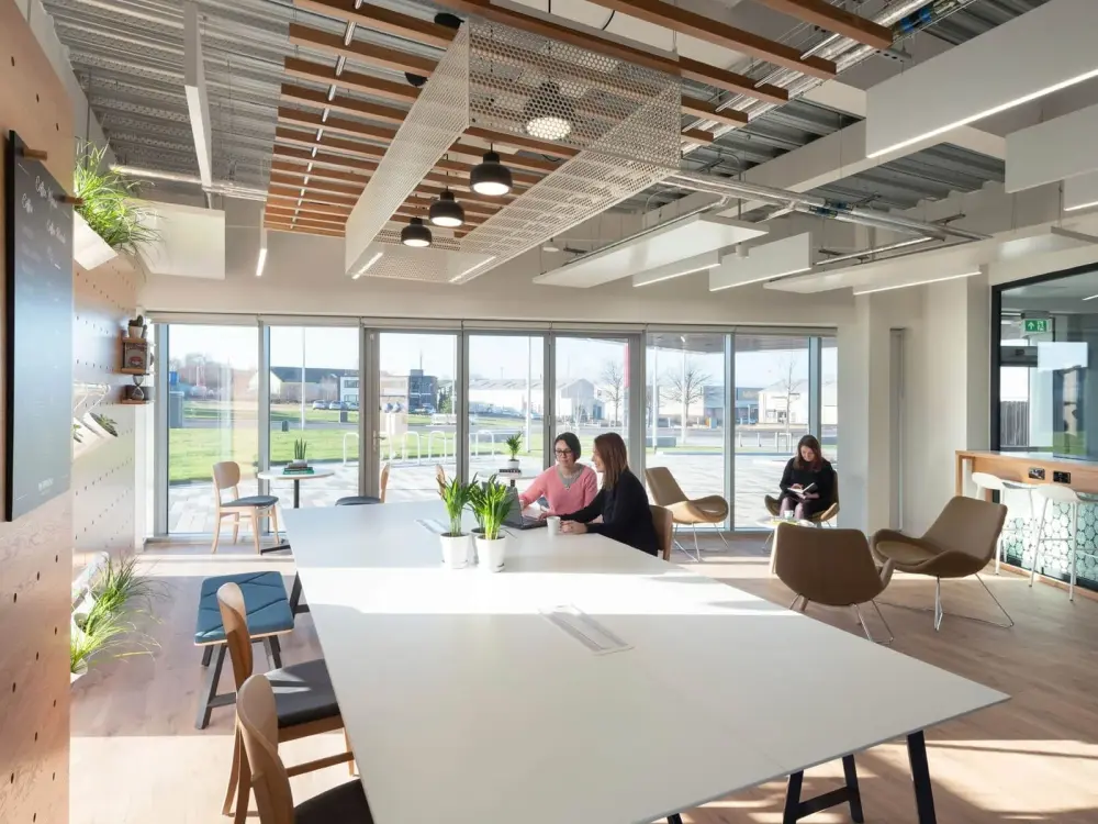 Red Tree Business Suites Magenta