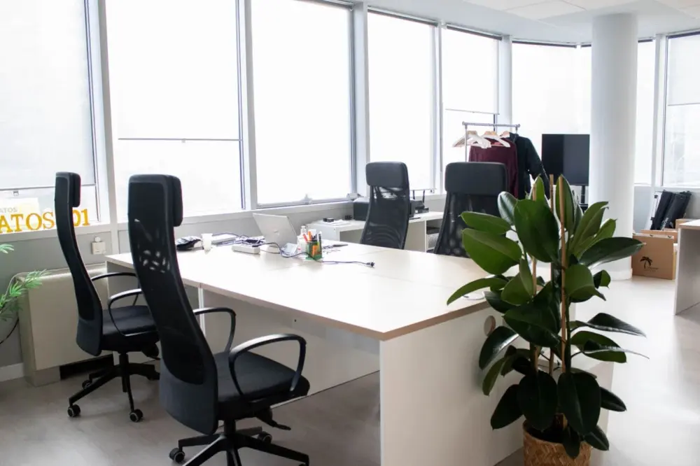 Cink Coworking Manoteras
