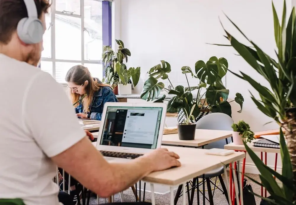 Courtyard Collective