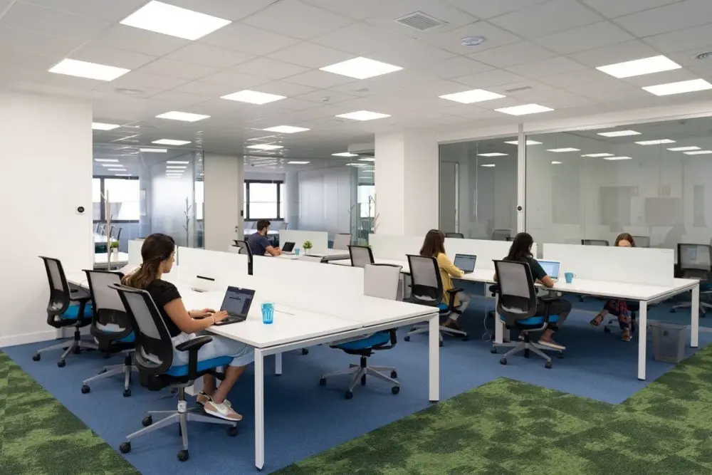 Mycoworking 