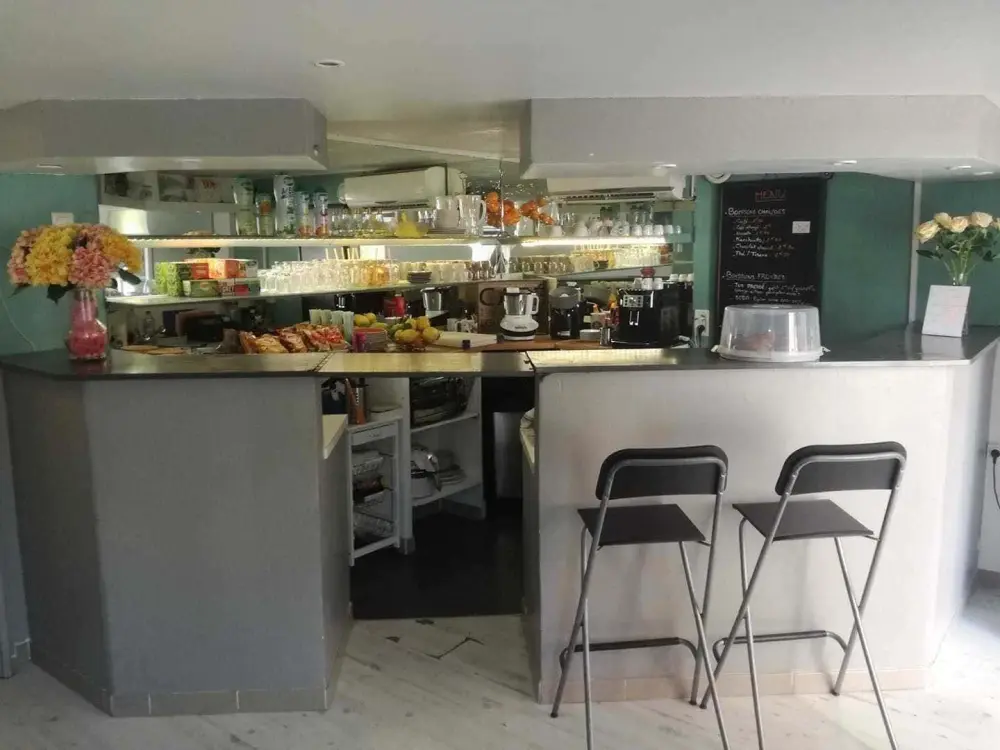 Café Evolution 13