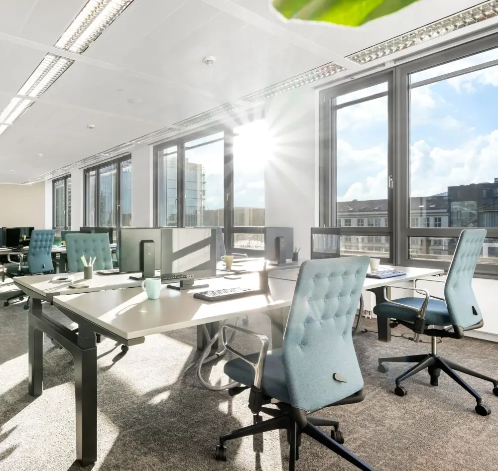 TH50 Coworking