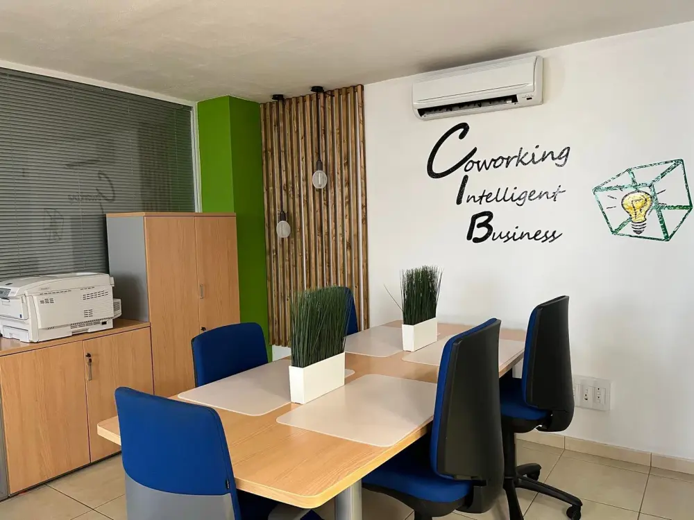 Coworking Intelligent Business