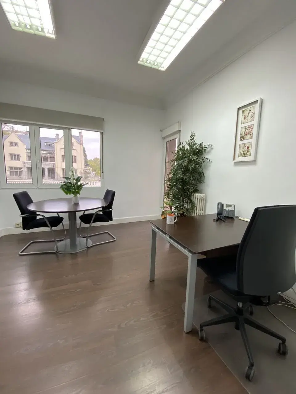 Oficinas Ya Serrano