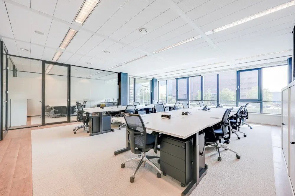 Tribes Amsterdam Adam Smith