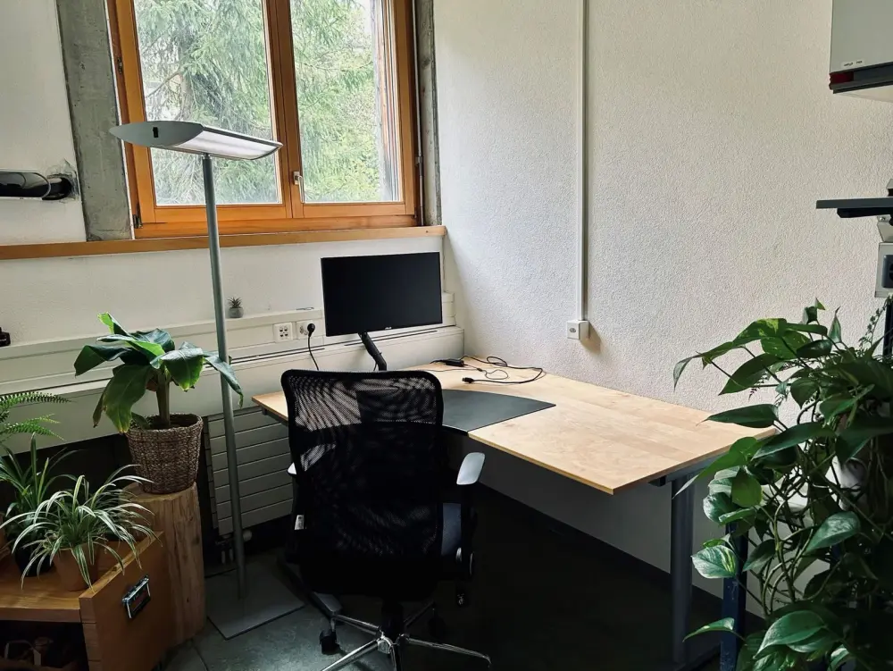 Co-Working Davos