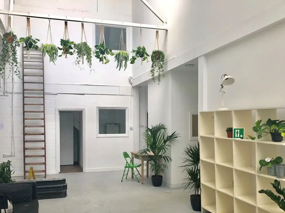 Greenhouse N17