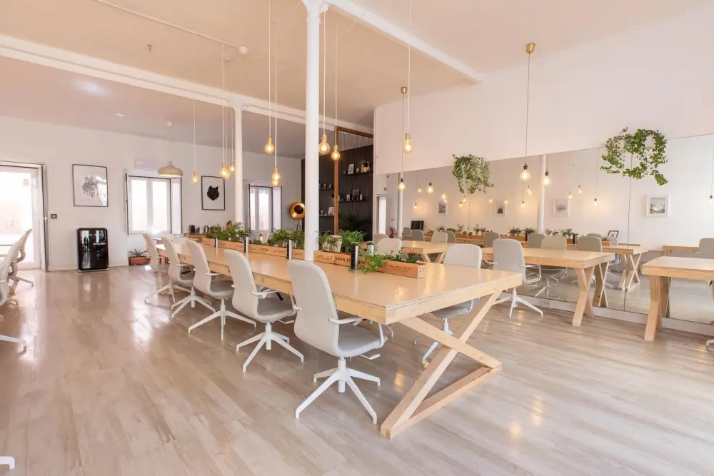 Lobo Cowork Estoril