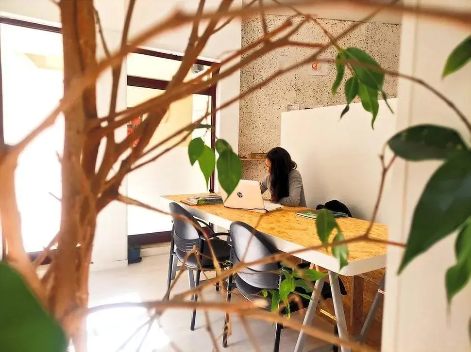 Fénix Co-work Esposende