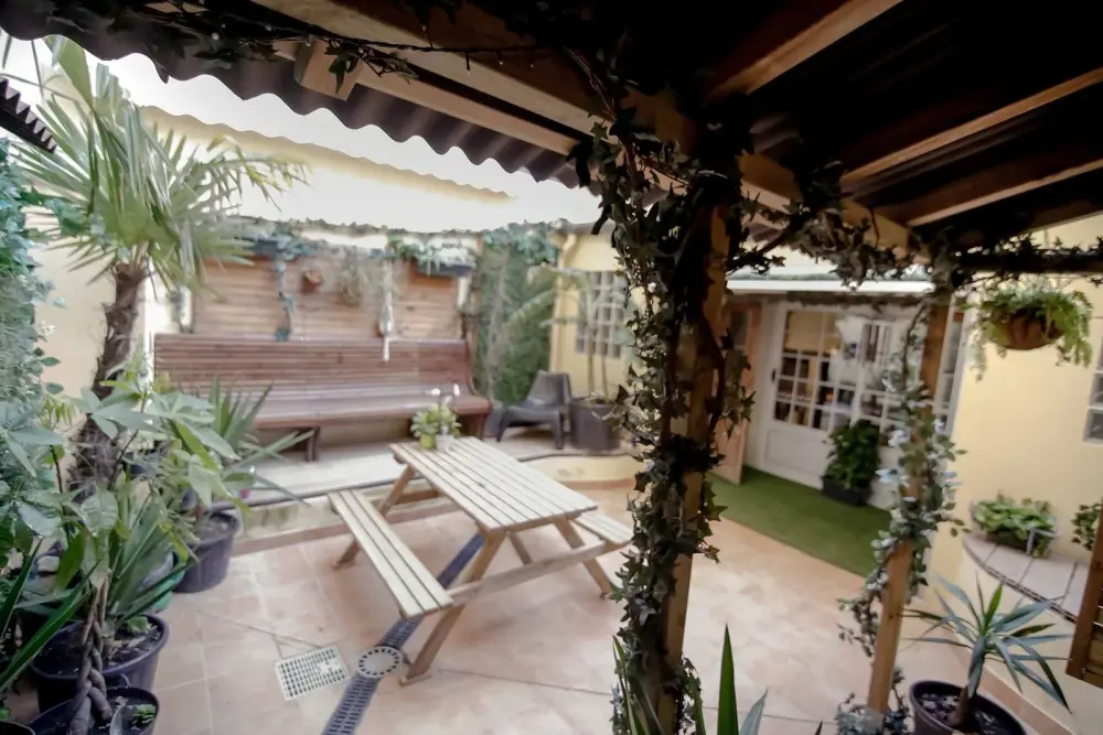 Jungle Coworking