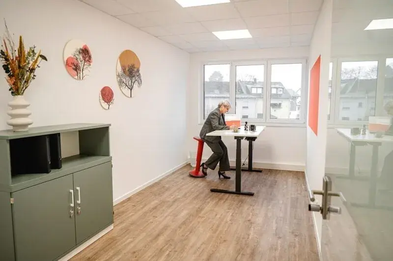 EMMA Workspace