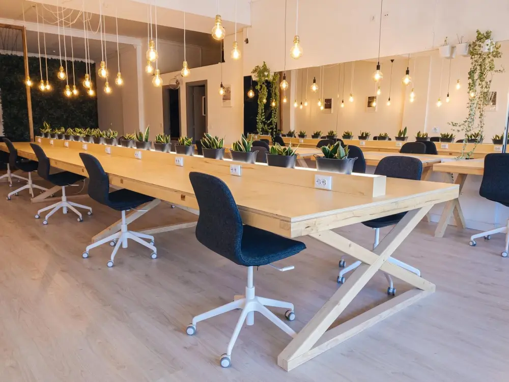 Lobo Cowork São João