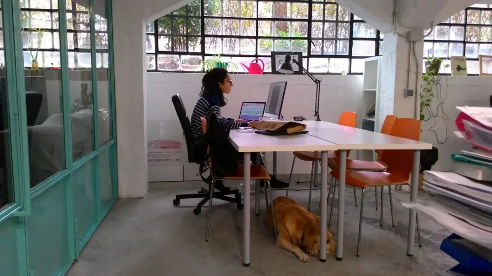 Eslabon Coworking