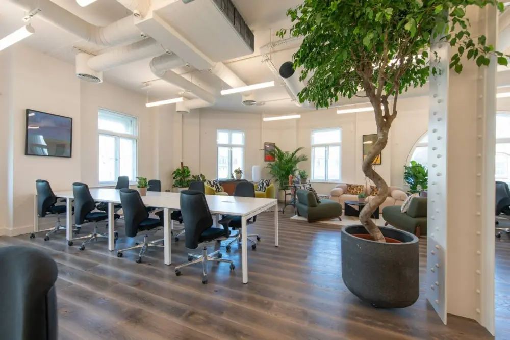 Canvas Offices - Luke Street