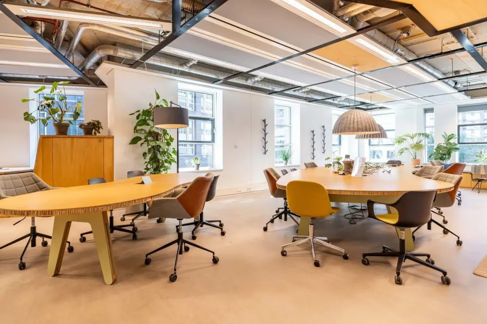 The Hague Humanity Hub