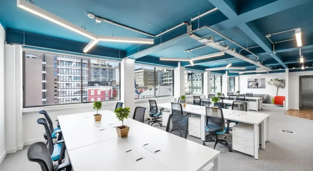 Maleo Offices Mouzinho