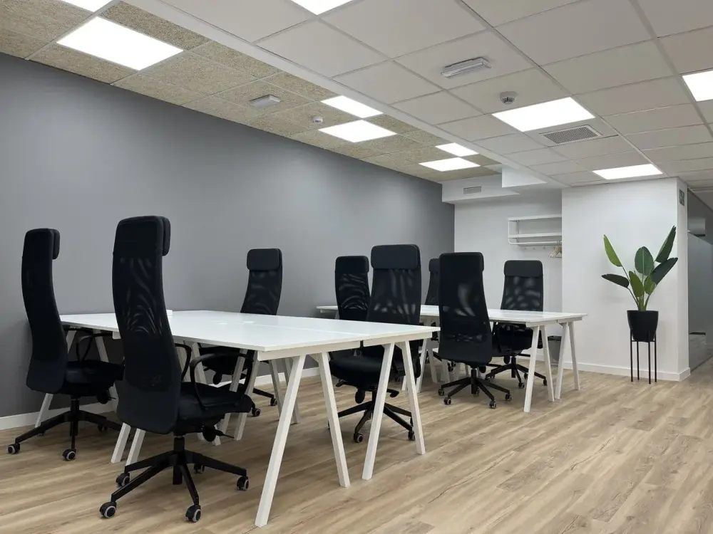 Cink Coworking Condesa de Venadito