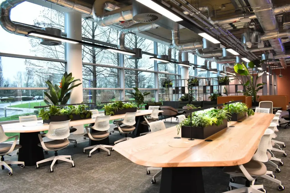 Link Spaces Botanica