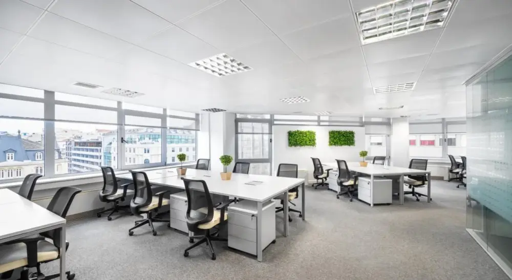 Maleo Offices Saldanha