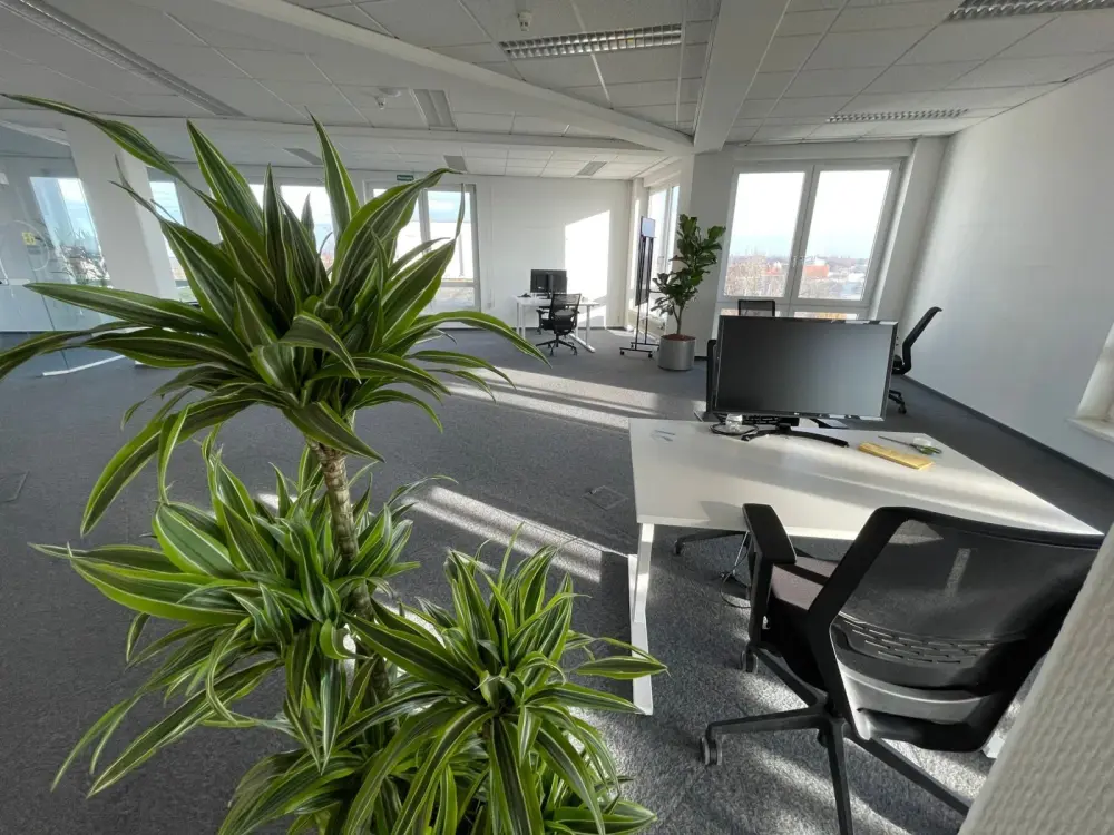 Terrace Offices 23