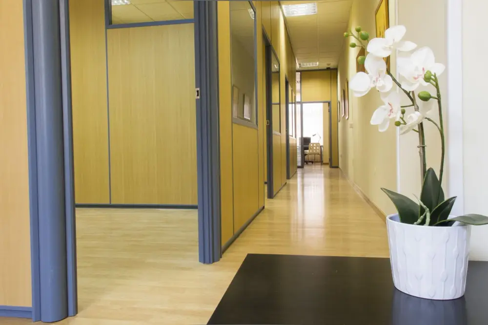 Coworking Laguna