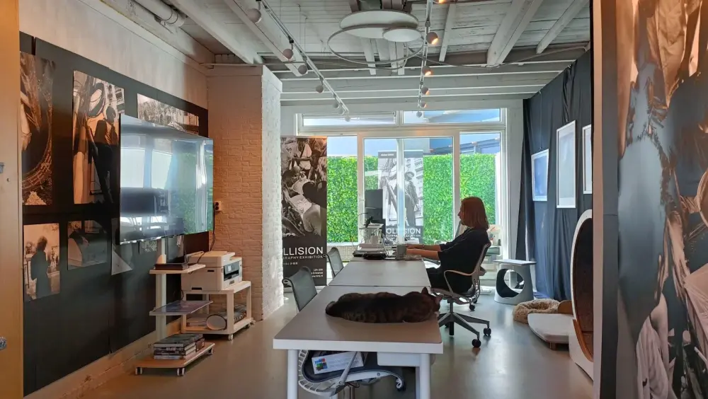 Atelier NIRIS Leiden