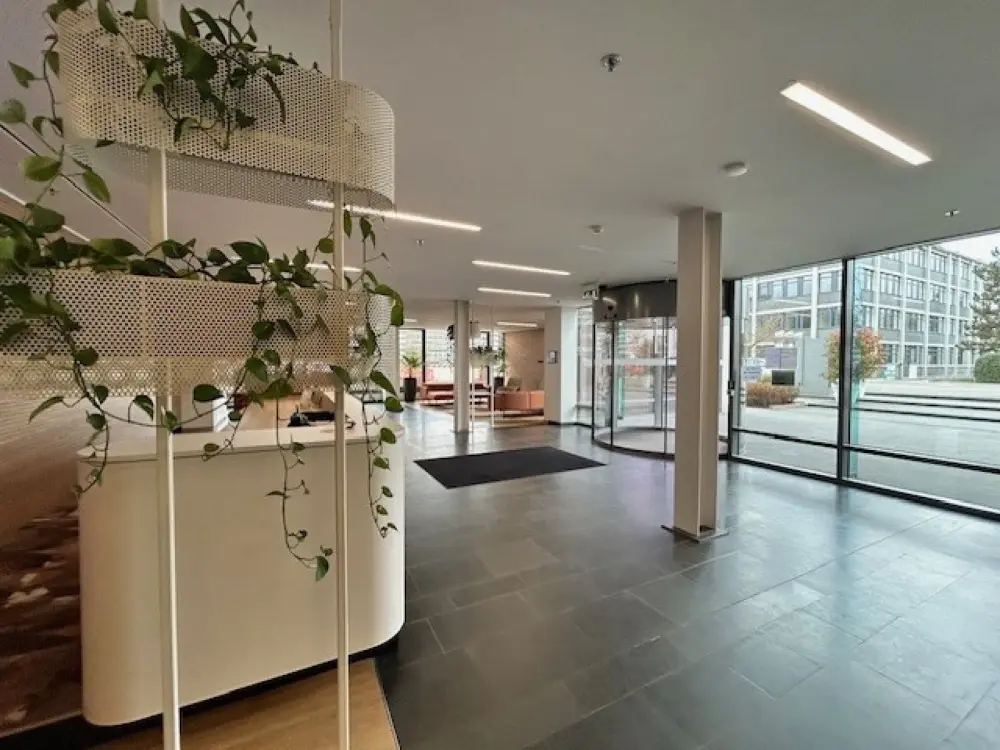 Business Office Services - Naos Vertigo