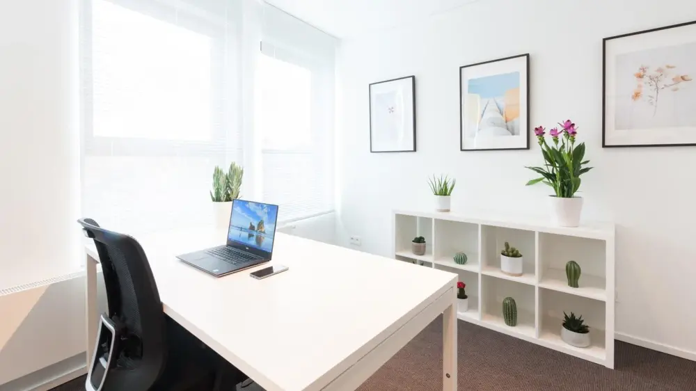 Coworking Plasky