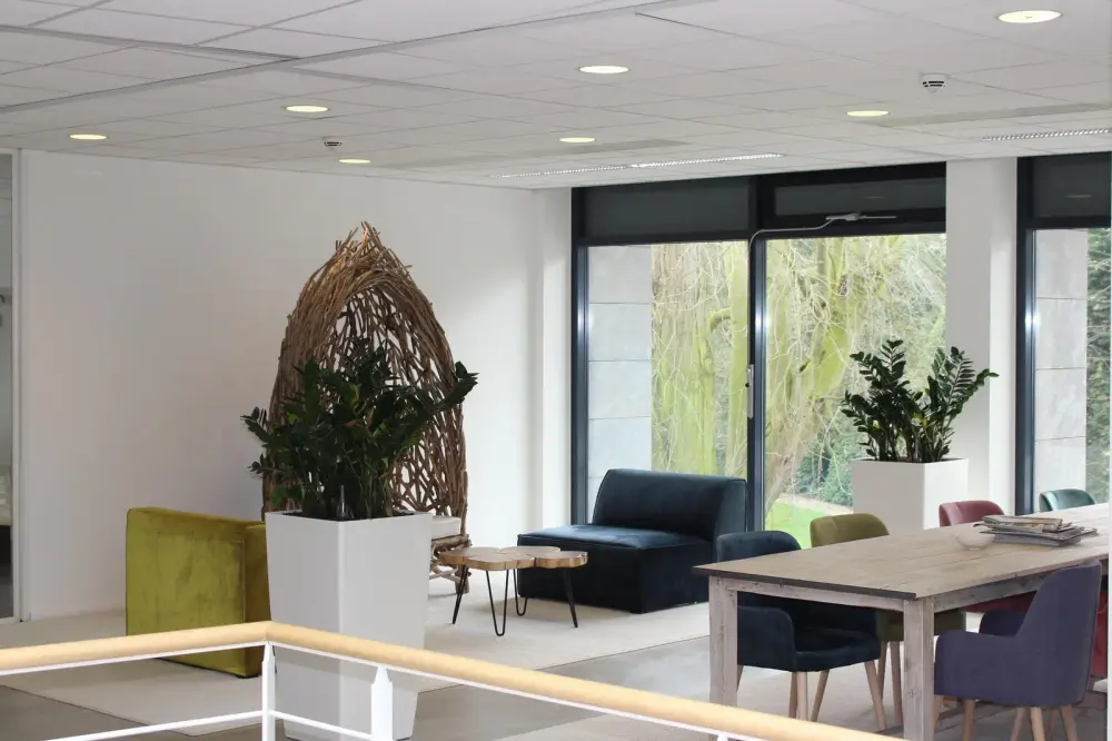 Interesting Office