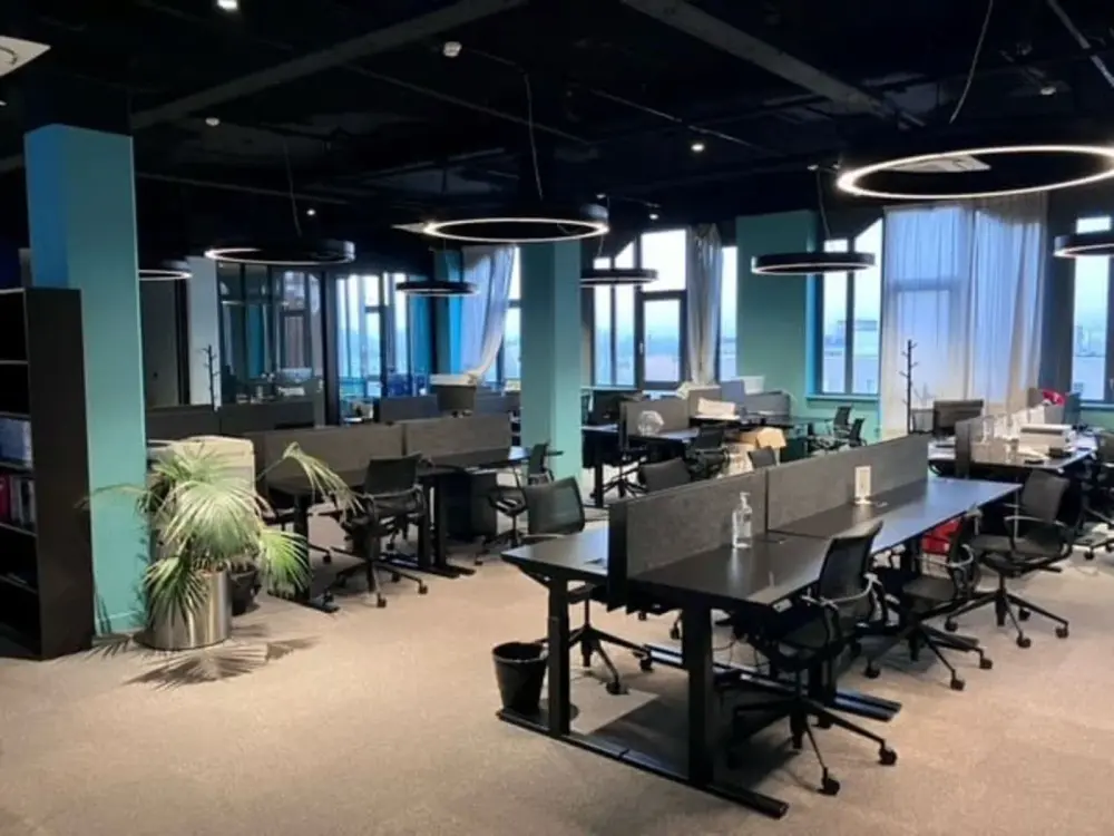 Rakoon & Co
