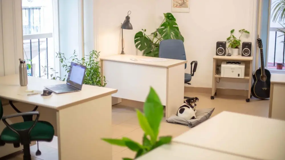 Flamen Coworking