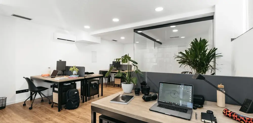 Vaz Studio