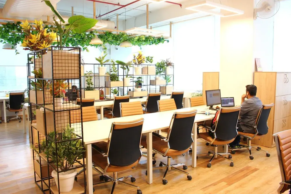 Luc Office