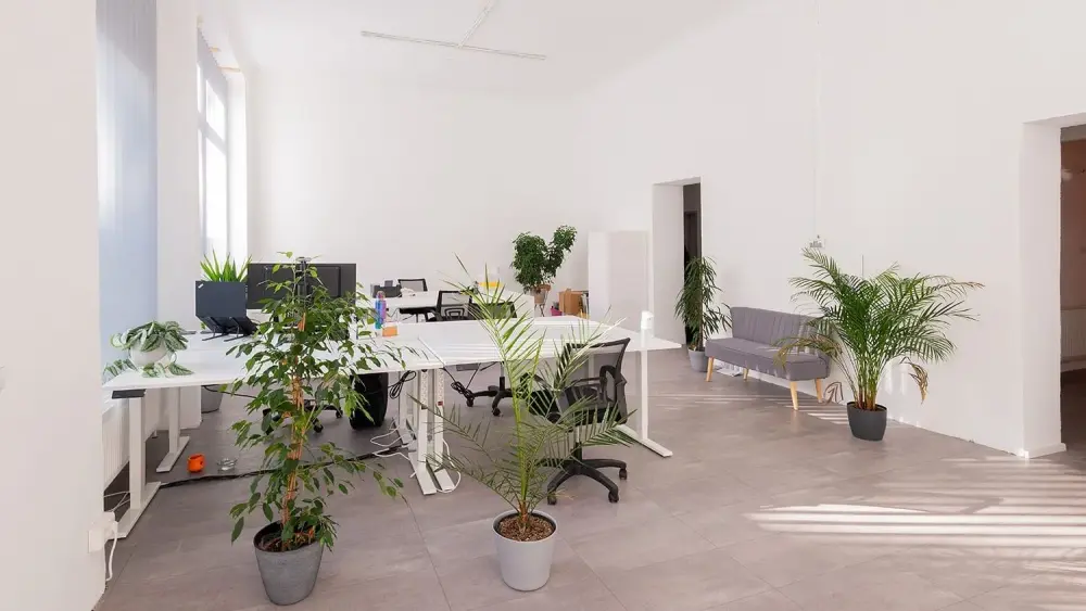 P3A coworking
