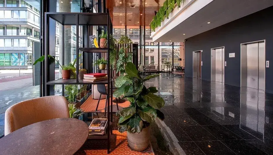 Tauro Amsterdam