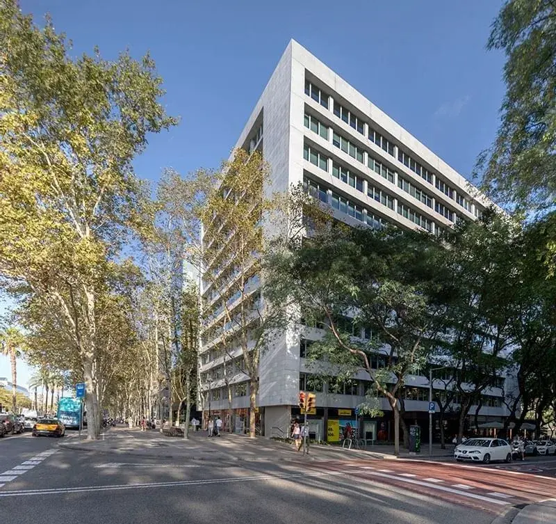 Networkia Diagonal 