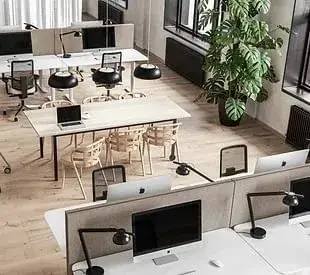 Flex Office Flensburg