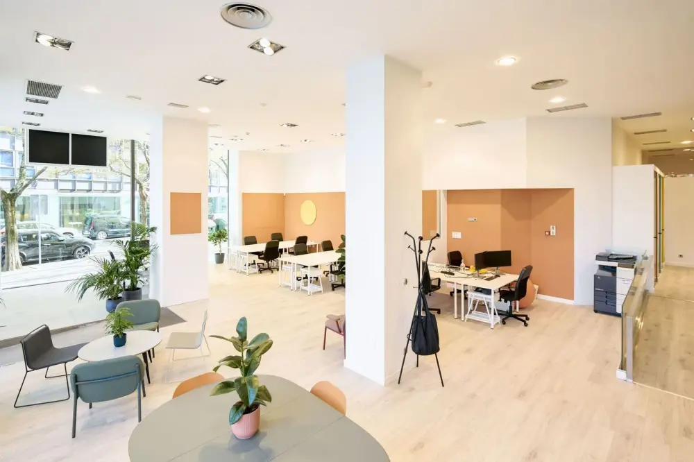 Miso Coworking Calle Julián Arteaga 9