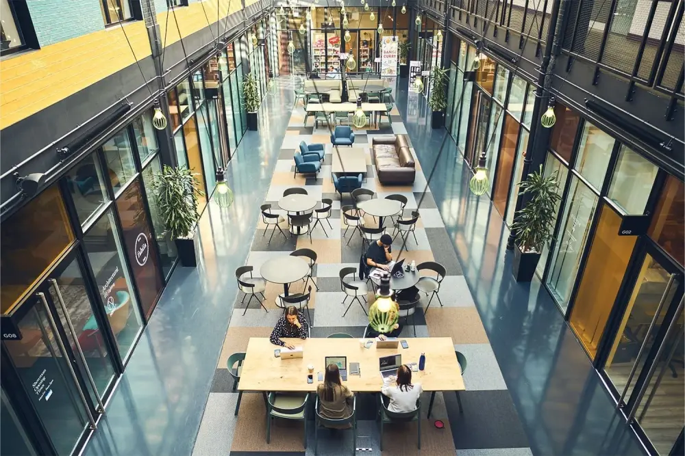 Workspace - The Light Box